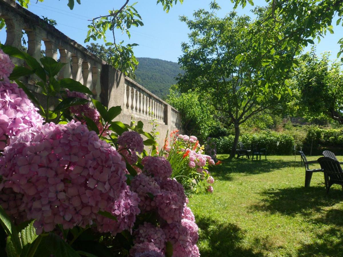 aMatalasviñas Piedralaves Exterior foto